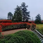 Delle Rose - Malpensa