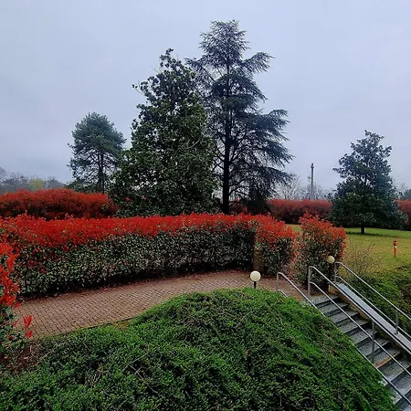 Delle Rose - Malpensa